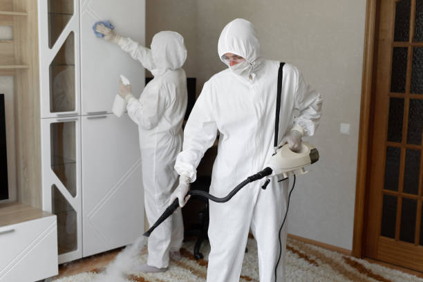 Best Residential Mold Removal  in Halfway House, PA