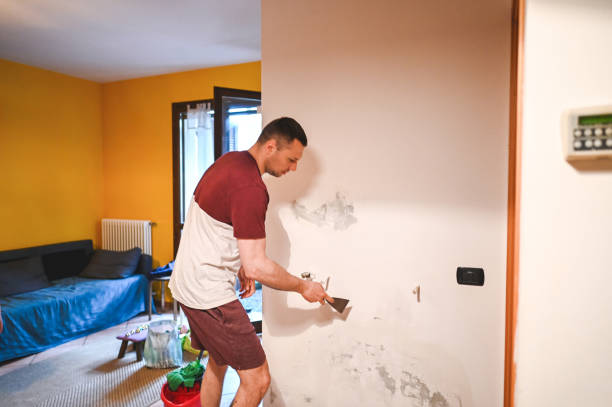 Best Mold Remediation Experts  in Halfway House, PA